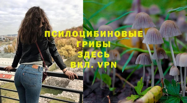 спиды Абаза