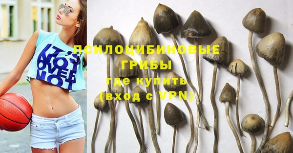 спиды Абаза