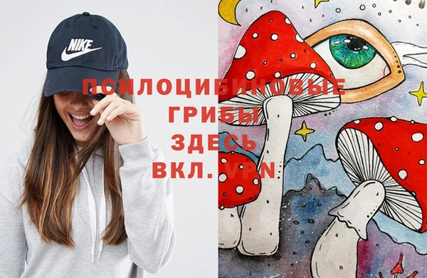спиды Абаза