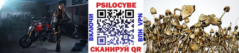 Галлюциногенные грибы Magic Shrooms  Разумное 
